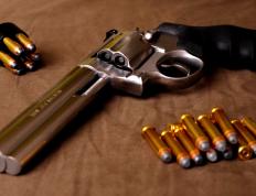 开云体育登录-集体智慧与孤胆英雄，辽宁的战术森林如何映照福克斯的孤星时刻？