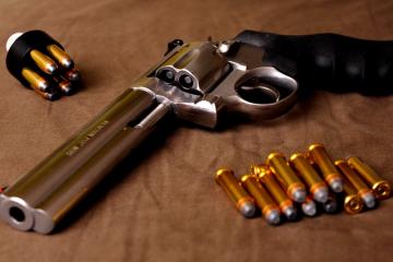 开云体育登录-集体智慧与孤胆英雄，辽宁的战术森林如何映照福克斯的孤星时刻？