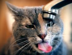 开云体育APP下载-惊魂时刻！霍勒迪零秒绝杀雷霆