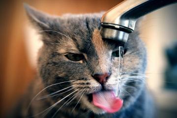 开云体育APP下载-惊魂时刻！霍勒迪零秒绝杀雷霆