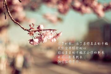 开云体育官网-老鹰血拼76人，浓眉式英雄降临，抢七战的终极接管