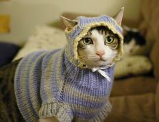 开云APP-焦土争霸，安哥拉抢七生死战中窒息式压制新西兰