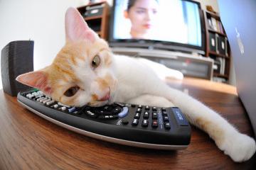 开云体育登录-末节风暴，詹姆斯关键节点连续得分锁定胜局，骑士力克开拓者展现王者底蕴