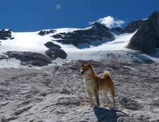 开云APP-历史性突破！摩洛哥黑马欧冠淘汰赛焦点战力克德国豪门