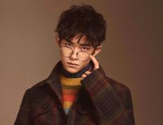 开云APP-欧文末节华彩乐章，黄蜂巅峰对决，他用艺术篮球证明巨星本色