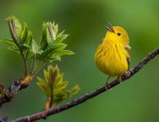 开云体育官方网站-绿茵烽火，玻利维亚粉碎瑞典神话，哈弗茨点燃不屈之光