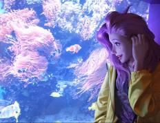 开云体育登录-摩洛哥对阵阿根廷，阿拉巴式防守锁死对手的战术解析