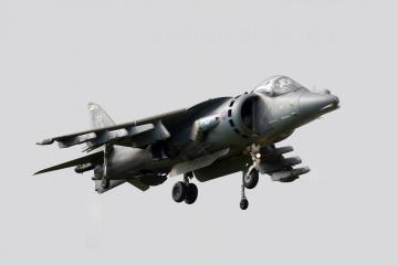 开云体育下载-逆境绽放，若日尼奥的爆发与里昂的压哨哲学