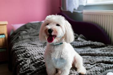 开云体育APP下载-东方黑马横空出世，2026世界杯焦点战，浙江队爆冷击溃火箭军团