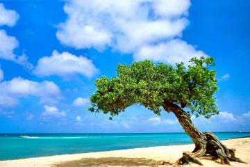 开云体育官网-烽火淬金，深圳队关键战掀翻上海，奥运周期前哨战惊心动魄