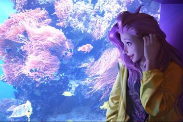 开云体育官网-卢卡库统治全场，佛罗伦萨决胜局带走伊朗