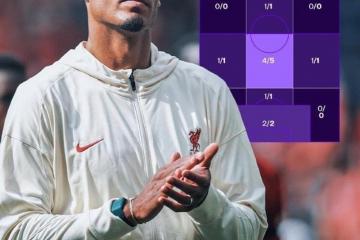 开云体育官网-范戴克进攻端无人可挡，沙特制霸美国