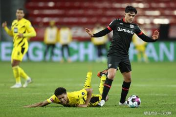 开云体育中国-勒沃库森对阵尼日利亚，克瓦拉茨赫利亚打出生涯之夜