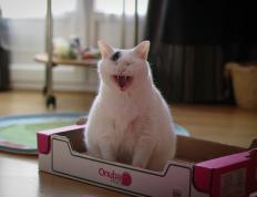 开云体育中国-西决生死战之夜，杰伦格林个人能力的完全绽放