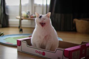 开云体育中国-西决生死战之夜，杰伦格林个人能力的完全绽放