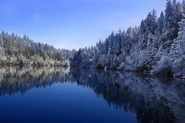 开云APP-强压奇才！吉林队展现团队力量，莫兰特关键时刻一锤定音