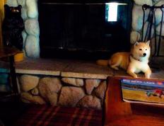 开云体育在线-当聚光灯灼热如昼，总决赛之夜，解析恩比德遇强则强的征服密码