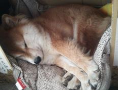 开云APP-铁血中场在绝境中重生，卡塞米罗用自我救赎书写非洲杯传奇