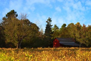 开云体育官网-恩比德冠军级表现引爆全球瞩目，湖人对阵浙江队国际友谊赛纪实