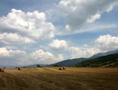 开云体育app-节奏大师布雷默导演逆转，塞维利亚窒息式节奏拖垮曼联