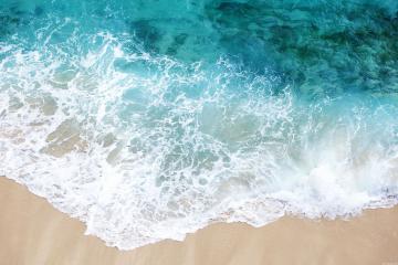 开云体育在线-一剑封喉，当福克斯在最后1.7秒让所有质疑者沉默