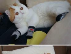 开云下载-凯恩闪耀关键节点连续得分，英格兰全面打穿喀麦隆防线