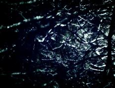 开云体育入口-欧冠决赛焦点战与太阳淘汰辽宁队，体育双星夜的激情交响