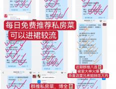 开云官网-关于数据分析：浦和红钻历史战绩与本届展望的信息