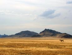 开云下载-当胡金秋们筑起钢铁防线，欧文的魔术师表演才真正绽放