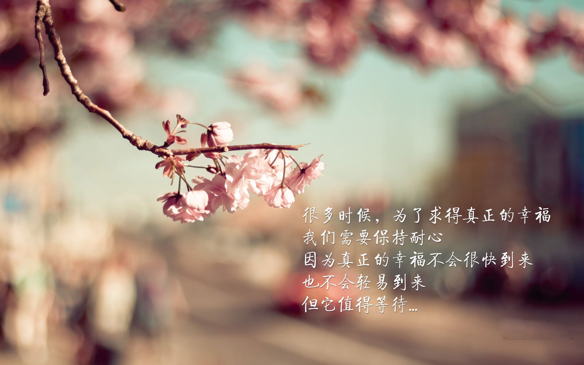 开云下载-文班亚马闪耀全场，活塞稳控节奏轻取开拓者