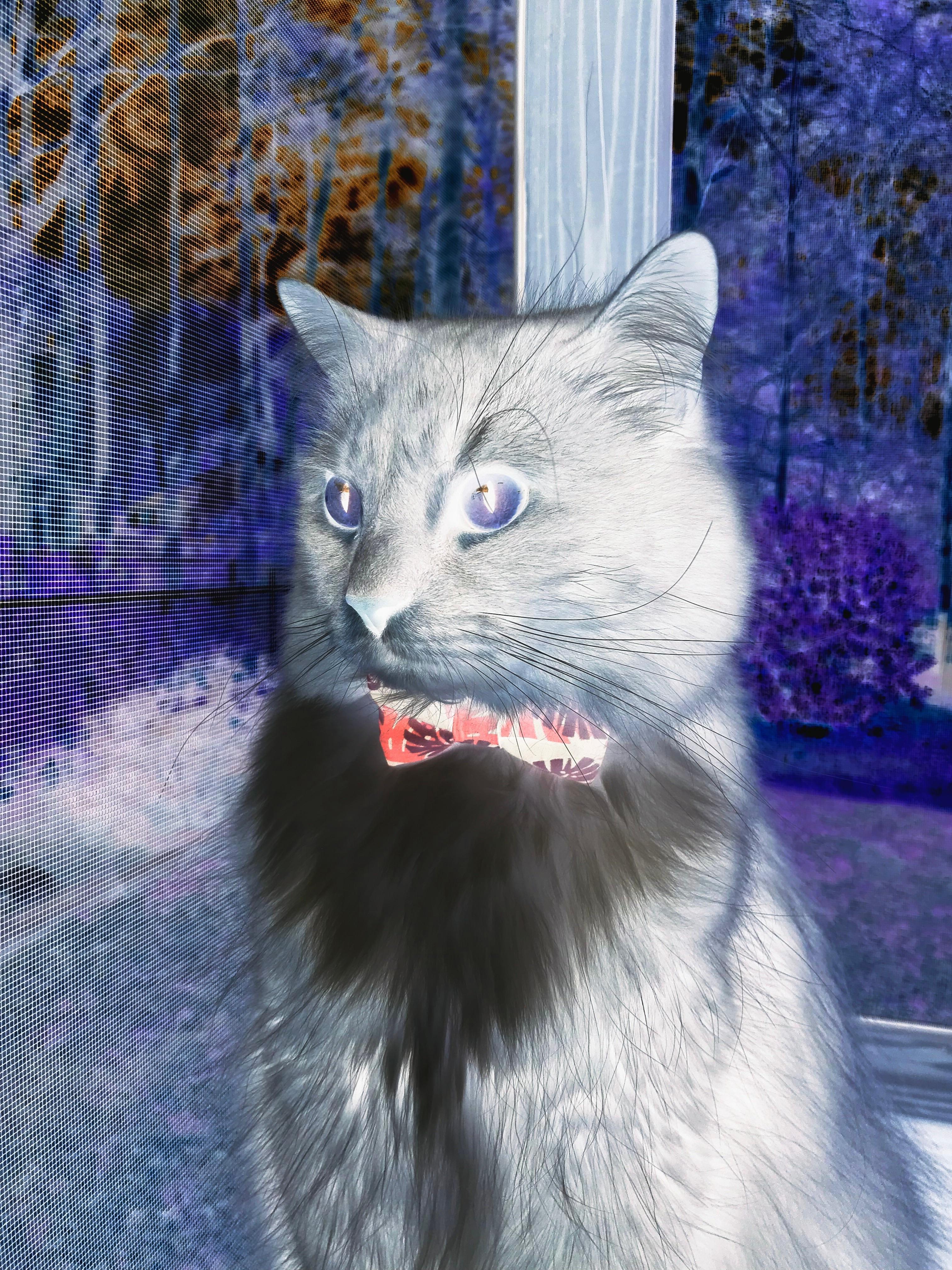 开云下载-爵士血洗深圳队，爱德华兹末节之王统治比赛