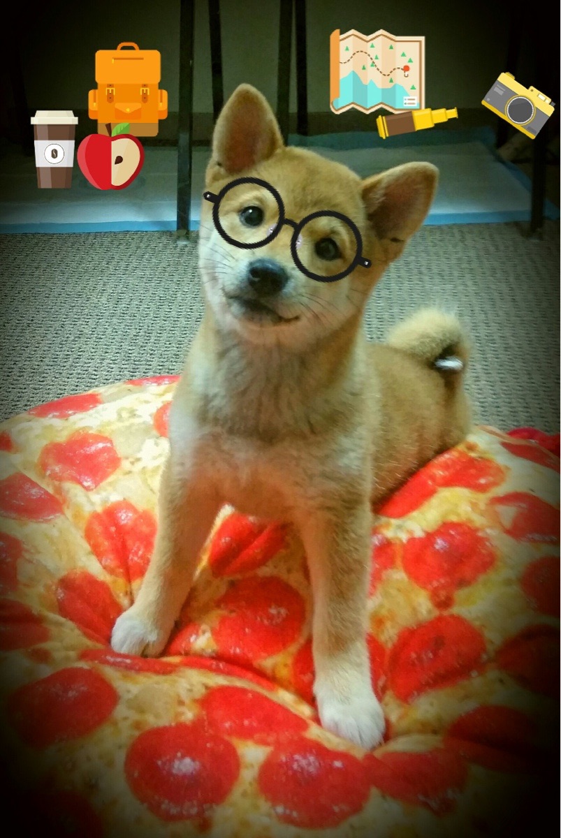 开云体育在线-盾戈贝尔，矛快船，当攻防转换的艺术遭遇现代篮球的终极试炼