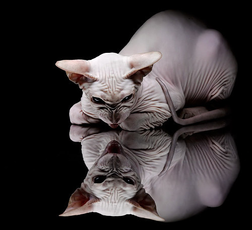 开云体育app-热火强势晋级山西队,爱德华兹在美加墨世界杯接管比赛—篮球全球化的新篇章