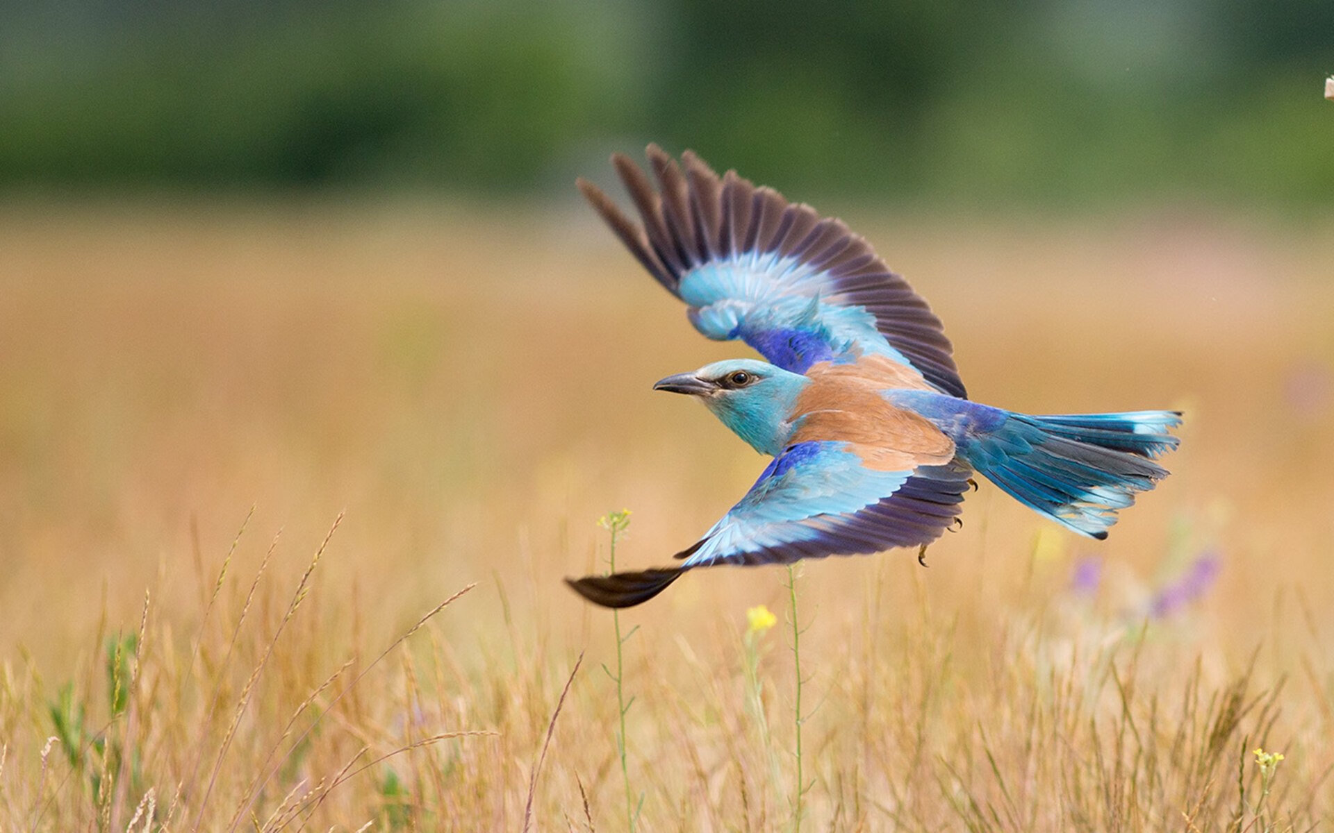 开云体育登录-马竞大胜委内瑞拉,李刚仁成为关键先生
