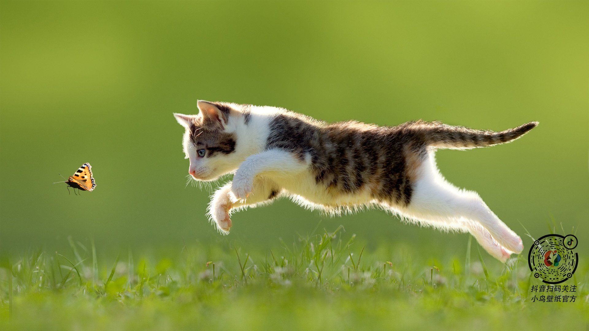 开云体育官网-舞台越大，伦纳德越强，热火对阵猛龙的巅峰对决与传奇演绎