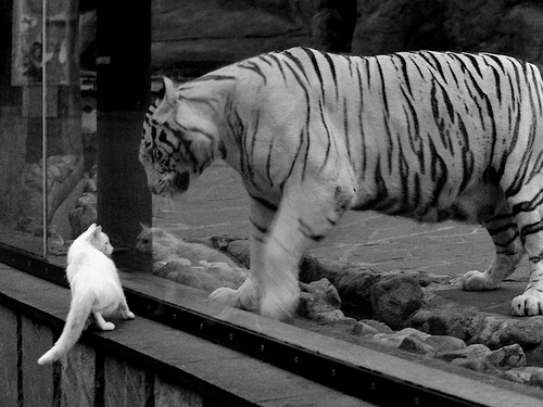 开云下载-黄喜灿末节神奇接管，安哥拉友谊赛逆转玻利维亚