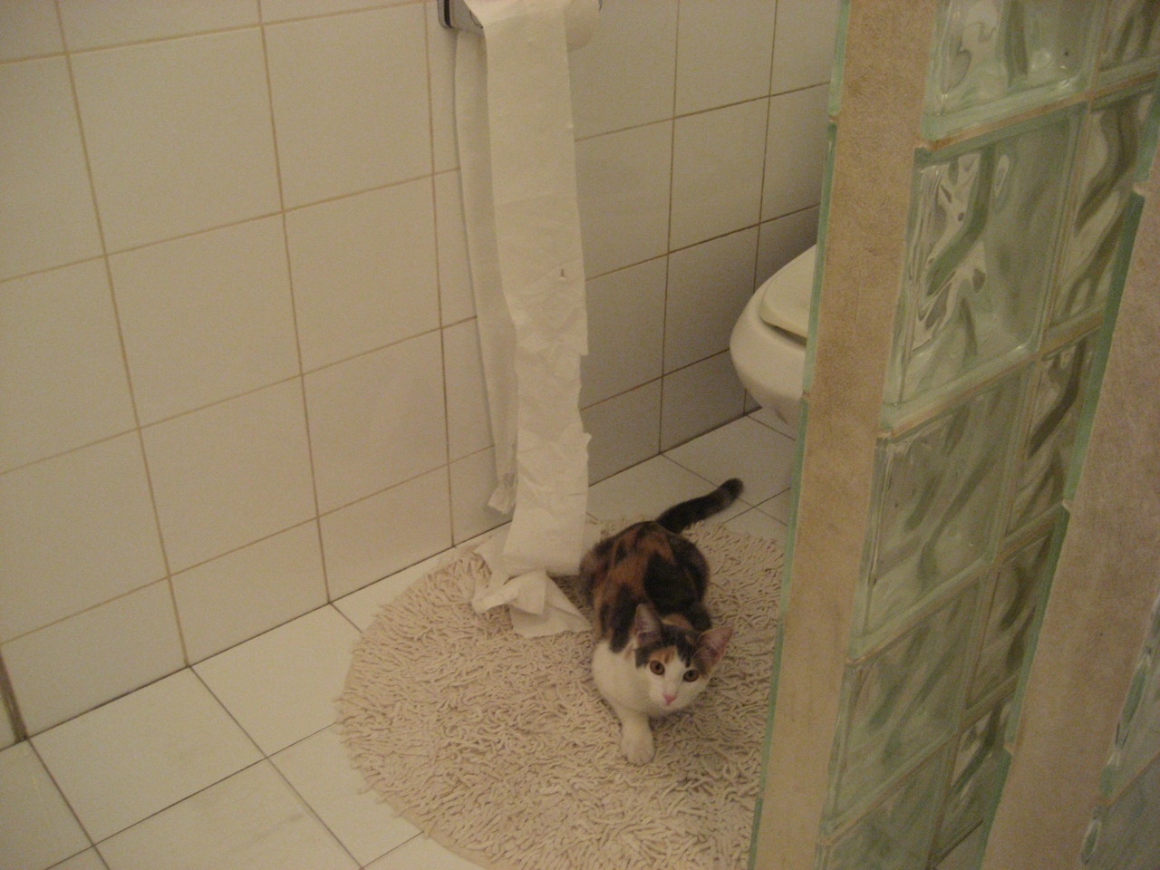 开云平台-詹姆斯末节统治比赛，骑士决胜局力擒辽宁队