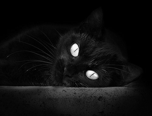 开云下载-拉梅洛末节狂飙19分！奇才终结尼克斯七连胜，季后赛版图暗流涌动